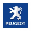 Peugeot Araç Yazılımı